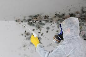 Best Real Estate Mold Inspection  in Mchenry, IL